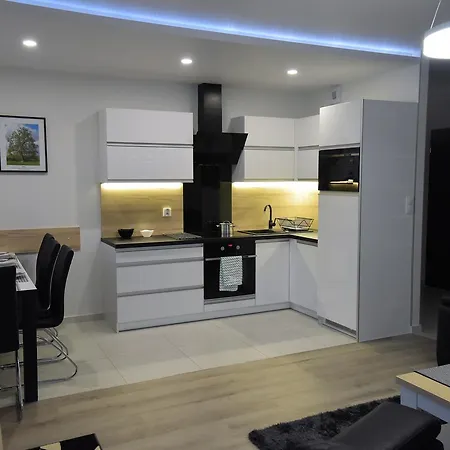 Platan Opieszyn Apartment Września