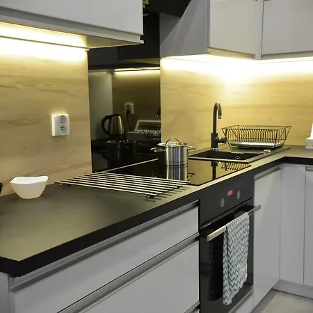 Platan Opieszyn Apartment Września
