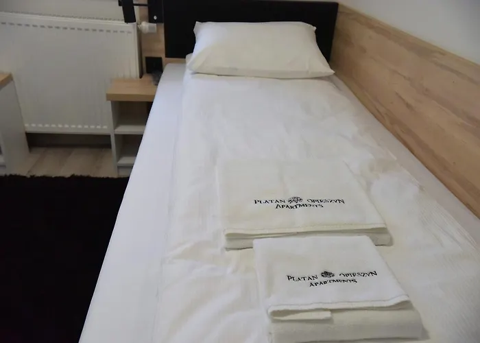 Platan Opieszyn 公寓 *